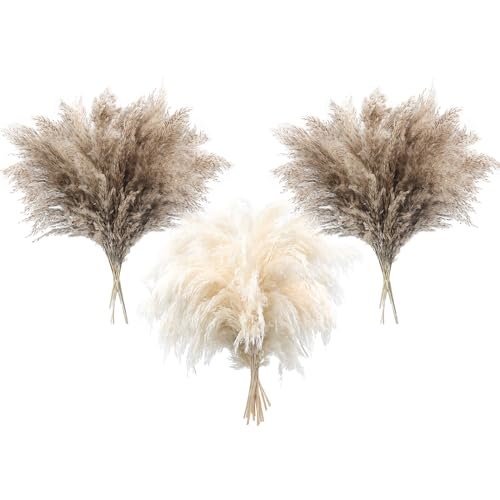 36 Stück Pampas Gras Boho Dekor Flauschiges Pompas Gras Natürliches getrocknetes Pampasgras Kleine Kurze Pampas Bulk für Boho Home Decor Hochzeit Dekor Tisch Dekor (24Stück Natural+12Stück Weiß) von Songjum