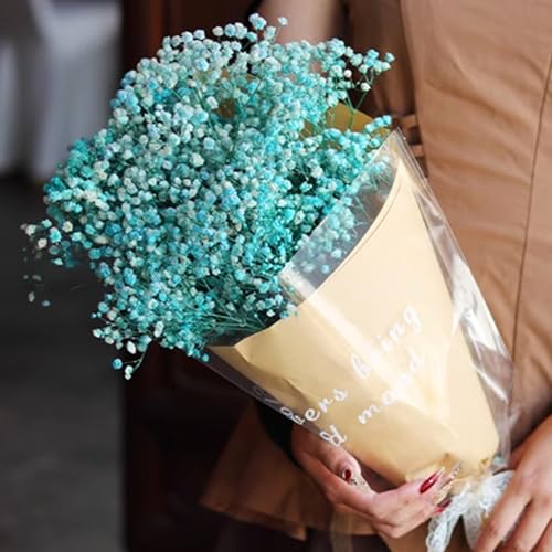 40cm Schleierkraut getrocknet 70g 2000+Natürlich Gypsophila Trockenblumen Blütenknospe Echt Trockenblumenstrauß für Hochzeit Brautsträuße Vasen Pampasgras Deko(Blue) von Songjum