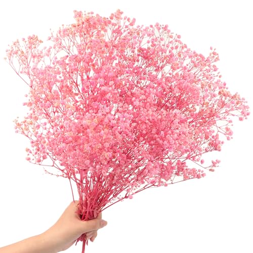 40cm Schleierkraut getrocknet 70g 2000+Natürlich Gypsophila Trockenblumen Blütenknospe Echt Trockenblumenstrauß für Hochzeit Brautsträuße Vasen Pampasgras Deko(Pink) von Songjum