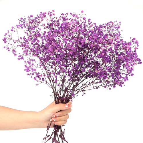 40cm Schleierkraut getrocknet 70g 2000+Natürlich Gypsophila Trockenblumen Blütenknospe Echt Trockenblumenstrauß für Hochzeit Brautsträuße Vasen Pampasgras Deko(Purple) von Songjum