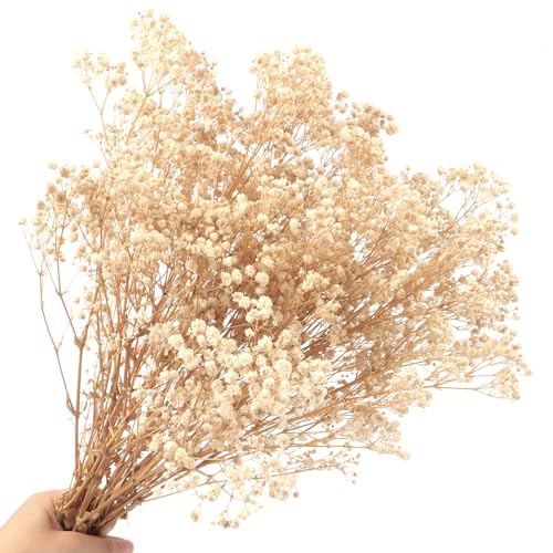 40cm Schleierkraut getrocknet 70g 2000+Natürlich Gypsophila Trockenblumen Blütenknospe Echt Trockenblumenstrauß für Hochzeit Brautsträuße Vasen Pampasgras Deko(White) von Songjum