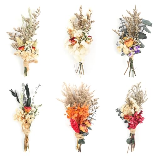6Stück Mini Boho Getrocknete Blume Bouquet Trockenblumen Kleine Blumensträuße Mini Natürliche Echte Pflanzen für Hochzeit Tisch Mittelstücke Geschenkbox Kuchen Dekor Home Vase Dekor DIY Handwerk(08) von Songjum
