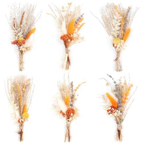 6Stück Mini Boho Getrocknete Blume Bouquet Herbst Dekoration Herbst Dekoration Mini Natürliche Echte Pflanzen für Hochzeit Tisch Mittelstücke Geschenkbox Kuchen Dekor Home Vase Dekor DIY Handwerk 6Stück Mini Boho Getrocknete Blume Bouquet Herbst Dekoration Herbst Dekoration Mini Natürliche Echte Pflanzen für Hochzeit Tisch Mittelstücke Geschenkbox Kuchen Dekor Home Vase Dekor DIY Handwerk von Songjum