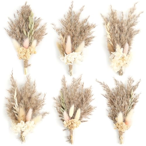 6Stück Mini Boho Getrocknete Blume Bouquet Trockenblumen Kleine Blumensträuße Mini Natürliche Echte Pflanzen für Hochzeit Tisch Mittelstücke Geschenkbox Kuchen Dekor Home Vase Dekor DIY Handwerk(01) von Songjum