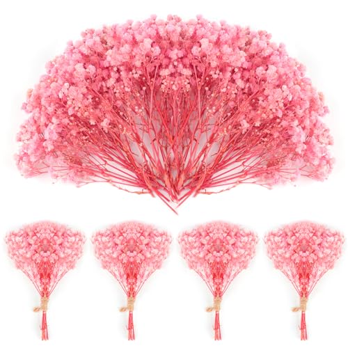 70Stück Schleierkraut Getrocknet 4000+ Mini Pressed Real Natürliche Gypsophila Bulk NatürlicheRosa Getrocknete Blumen für Haar Zubehör Hochzeit Kranz Karte Machen Tisch Vase Geschenk Home Decor von Songjum