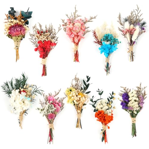 Mini-Boho-Trockenblumenstrauß, getrocknete Blumen, kleine Blumensträuße, 10 Stück von Songjum