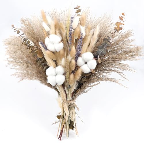 86Stück Natürliche Getrocknete Blumenstrauß Getrocknete Pampas Gras Baumwolle Stängel Hasen Eukalyptus Lavendel Rustikale Boho Dekor für Herbst Dekorationen Boho Hochzeitsströße Heimdekor Garten Dekor 86Stück Natürliche Getrocknete Blumenstrauß Getrocknete Pampas Gras Baumwolle Stängel Hasen Eukalyptus Lavendel Rustikale Boho Dekor für Herbst Dekorationen Boho Hochzeitsströße Heimdekor Garten Dekor von Songjum