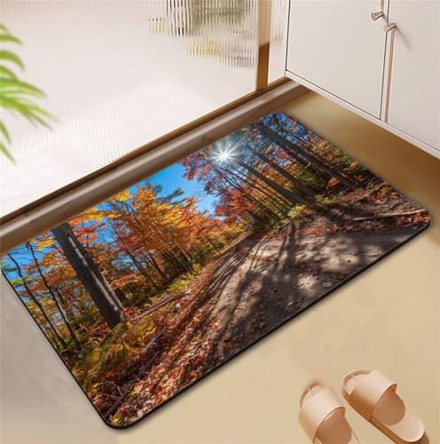 Badezimmerteppich Road Badematte Rutschfester 140x200cm, Super Absorbierender Badteppich rutschfest Waschbar Duschvorleger Schnelltrocknend Badvorleger Badematte Dünne Stone Bath Mat Mats D4-662 von Songtt