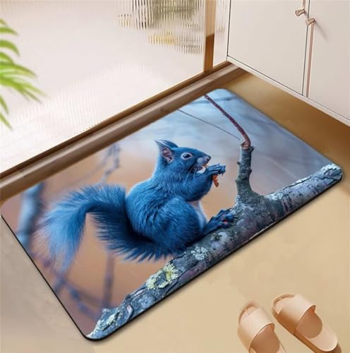 Badezimmerteppich Squirrel Badematte Rutschfester 100x160cm, Super Absorbierender Badteppich rutschfest Waschbar Duschvorleger Schnelltrocknend Badvorleger Badematte Dünne Stone Bath Mat Mats D4-720 Badezimmerteppich Squirrel Badematte Rutschfester 100x160cm, Super Absorbierender Badteppich rutschfest Waschbar Duschvorleger Schnelltrocknend Badvorleger Badematte Dünne Stone Bath Mat Mats D4-720 von Songtt