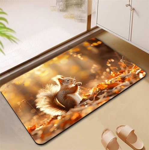 Badezimmerteppich Squirrel Badematte Rutschfester 80x120cm, Super Absorbierender Badteppich rutschfest Waschbar Duschvorleger Schnelltrocknend Badvorleger Badematte Dünne Stone Bath Mat Mats D4-722 Badezimmerteppich Squirrel Badematte Rutschfester 80x120cm, Super Absorbierender Badteppich rutschfest Waschbar Duschvorleger Schnelltrocknend Badvorleger Badematte Dünne Stone Bath Mat Mats D4-722 von Songtt