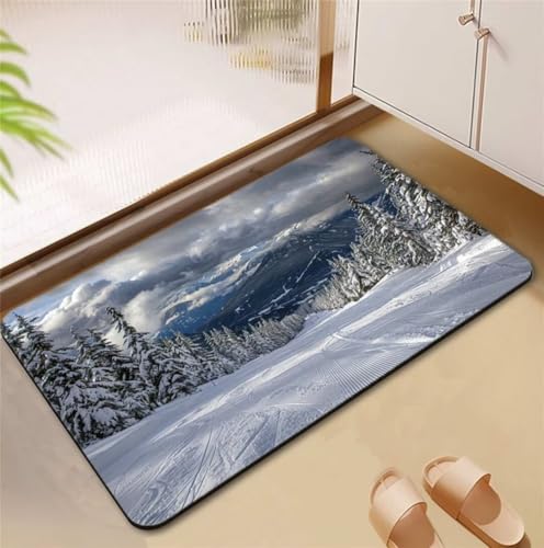 Badezimmerteppich Winter Badematte Rutschfester 100x160cm, Super Absorbierender Badteppich rutschfest Waschbar Duschvorleger Schnelltrocknend Badvorleger Badematte Dünne Stone Bath Mat Mats D4-891 Badezimmerteppich Winter Badematte Rutschfester 100x160cm, Super Absorbierender Badteppich rutschfest Waschbar Duschvorleger Schnelltrocknend Badvorleger Badematte Dünne Stone Bath Mat Mats D4-891 von Songtt