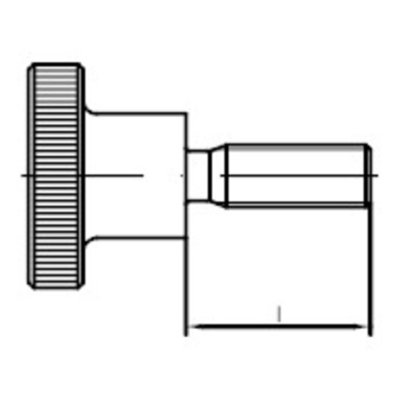 Rändelschraube hohe Form DIN 464 Stahl 5.8 M 6x 30 von Sonstige