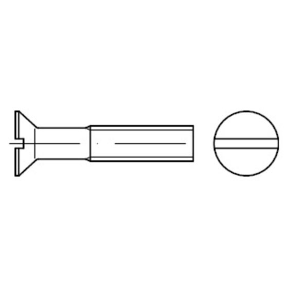 Senkschraube mit Schlitz DIN 963 Stahl 4.8 galvanisch verzinkt M2 x 5mm von Sonstige