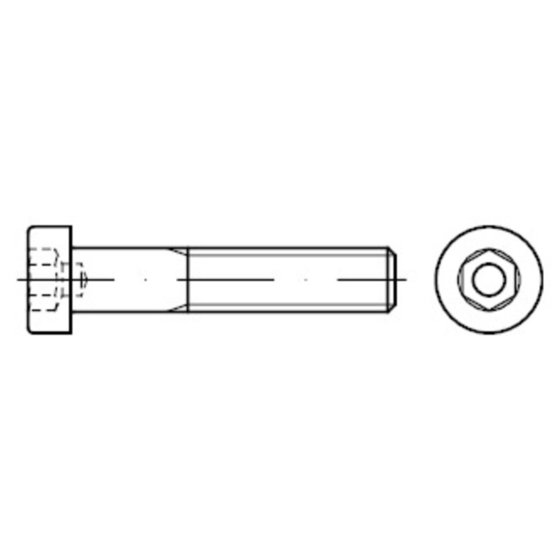 Zylinderschraube mit Innensechskant DIN 6912 Stahl 10.9 galv.verz. M 6x 30 von Sonstige