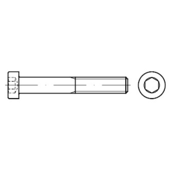 Zylinderschraube mit niedrigem Kopf DIN 7984 Stahl 8.8 M10 x 100mm von Sonstige