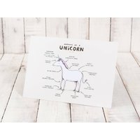 Anatomie Eines Einhorns A4 Signierter Druck Zauberhaftes Pferd von SophieCorriganShop
