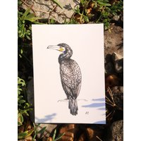 Kormoran Kunstdruck | Physisch von SophiesShips