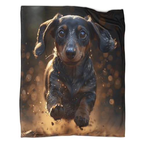 Dackel 3D Drucken Flanell Decke Super Soft Weiche Wohndecke Tiers Warm Decke, Für Teens Erwachsene Plüsch Bettdecke Für Bett Couch Reisedecke 60x80inch(150x200cm) von SorEci