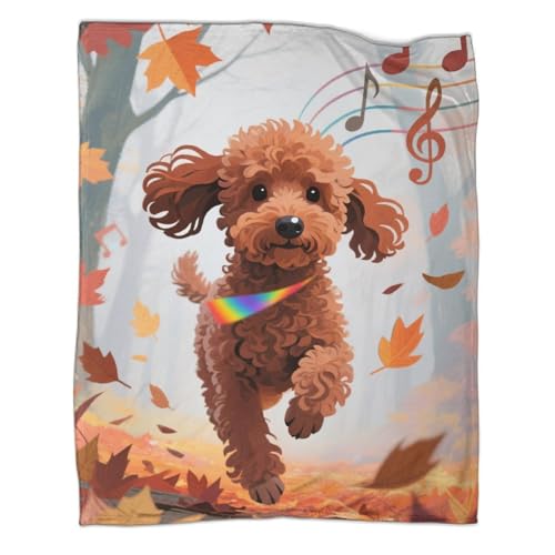 Pudel Flanelldecke Mikrofaser Weich Flauschig Tier TV Decken Für Bett Sofa Für Kinder Erwachsene 50x60inch(127x152cm) von SorEci