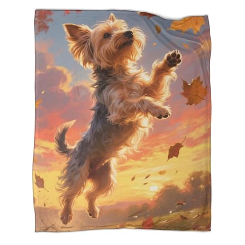 Yorkshire Terrier Flanelldecke Mikrofaser Weich Flauschig Tier TV Decken Für Bett & Sofa Für Kinder Erwachsene 60x80inch(150x200cm) von SorEci