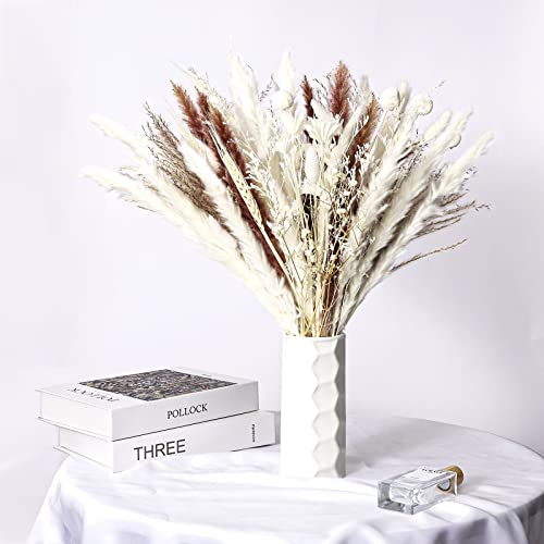 Sosayet Trockenblumen Deko - 60 Stück Pampasgras Weiss - Getrocknete Blumen Flauschige Wedel für Deko Boho, Schlafzimmer Deko, Room Decor, Hochzeit von Sosayet