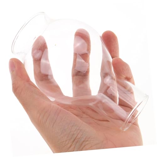 Sosoport 2 Stück Transparente Glas kerzenhülle Winddichtes Schutzrohr Zylindrischer Kerzenschirm Hoher Glaszylinder für Stabkerzen Windschutz zu Hause Hochzeit Restaurant von Sosoport