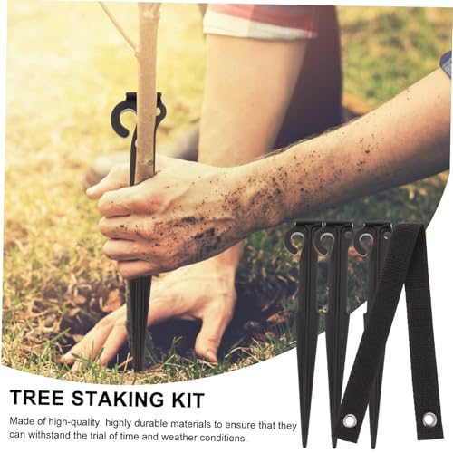 Sosoport Baumstützset mit Kunststoffankern und Geflochtenem Band Stabiles Pflanzenstützwerkzeug für Junge Bäume Installieren Wetterfest und Langlebig für Garten und Außenbereich Sosoport Baumstützset mit Kunststoffankern und Geflochtenem Band Stabiles Pflanzenstützwerkzeug für Junge Bäume Installieren Wetterfest und Langlebig für Garten und Außenbereich von Sosoport