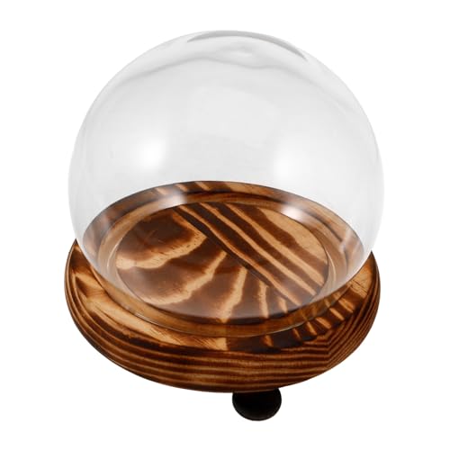 Sosoport Glasglocke mit Holzsockel Runde Glasvitrine Dekorative Glasglocke für Zuhause Staubdicht Eleganter Glasdisplay zur Präsentation von Pflanzen und Dekorationen von Sosoport