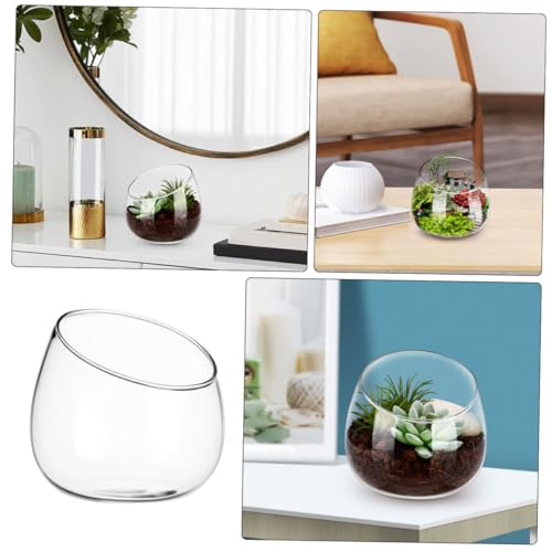 Sosoport Klare Glasvase Schräg Geschnittener Bubble Bowl Pflanzenterrarium Glas Tischdeko Hydroponic Pflanzgefäß für Sukkulenten Luftpflanzen Wohnzimmer Büro von Sosoport