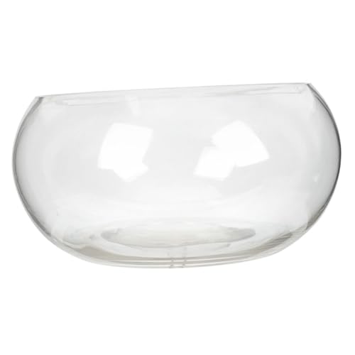 Sosoport Transparente Glasfischschale Rund Kleine Hydroponische Pflanzenschale Dekorativer Goldfischbehälter für Tischdeko Klarer Aquarium Übertopf für Zimmer Büro Wohnzimmer von Sosoport