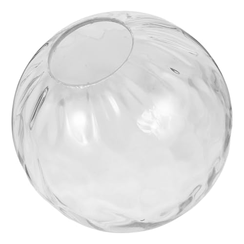 Sosoport Transparenter Runder Glasschirm Klarer Lampenschirm Ersatz für Deckenleuchten Stilvoller Lampenabdeckung Gleichmäßige Lichtverteilung Geeignet für Tischlampen und Kronleuchter von Sosoport