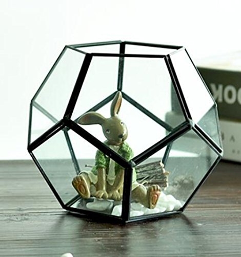 sotoboo DIY Glas Pentagon Regular Dodekaeder Geometrische Terrarium Container Desktop Übertopf für vollmundigen Farn Pflanzen Moos Air Halterung Miniatur Outdoor Fairy Garden Geschenk von Sobotoo