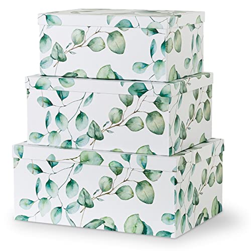 Soul & Lane Dekorative Pappschachteln für Heimdekoration – Eukalyptusblätter – 3er-Set: hübsche Nistboxen mit Deckel für Fotos, Aufbewahrungsboxen aus Karton zum Organisieren, große Erinnerungsboxen von Soul & Lane