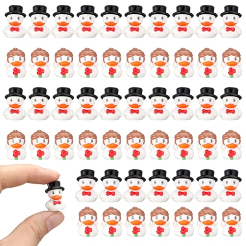 Soulchen 50 Stück Hochzeit Harz Ente Mini Braut Bräutigam Enten Ehe Harz Figuren Bulk Kleintierfiguren Fee Moos Landschaft DIY für Hochzeitszeremonie Brautgeschenk Souvenir von Soulchen