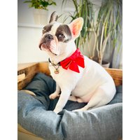 Hundeschleifen Hundefliegen Halsbandschleife Halsbandfliege Weihnachtsschleifen Geburtstagschleifen von SouldogManufaktur