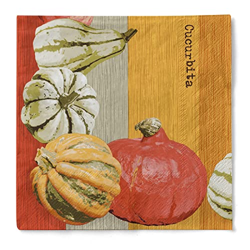 Sovie HORECA Serviette Tissue 33 x 33 cm | saugstarke Einmal-Serviette und hochwertige Einweg-Servietten | ideal für herbstliche Dekorationen | 100 Stück | BRITTA in Terrakotta von Sovie HORECA