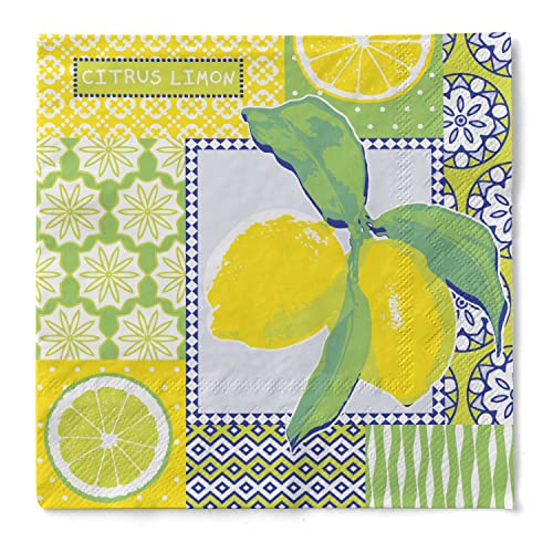 Sovie HOME Serviette Selina | Tissue-Servietten 33x33 cm | saugstark hochwertig | ideal für Feiern Frühling Sommer | 20 Stück von Sovie Home