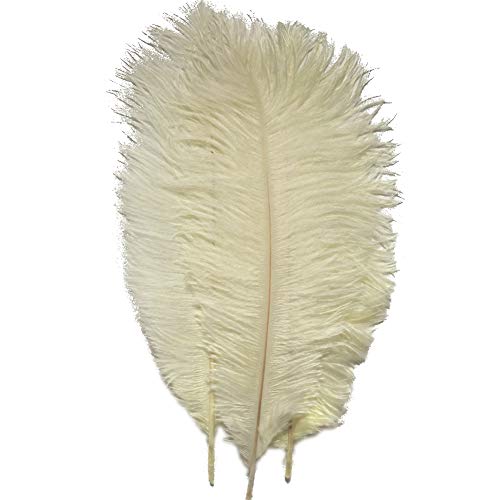 Sowder 20pcs Natural 10-12inch (25-30cm) Straußenfedern Feder für Hochzeit Mittelstücke Home Decoration(elfenbeinfarben) von Sowder