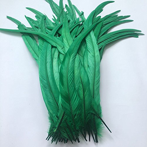 Sowder Hahn Coque Schwanz Federn 16-18inch(40–45cm) für DIY Basteln Hüte Kostüm, Urlaub Thema Party Dekoration,20 Stück dunkelgrün von Sowder