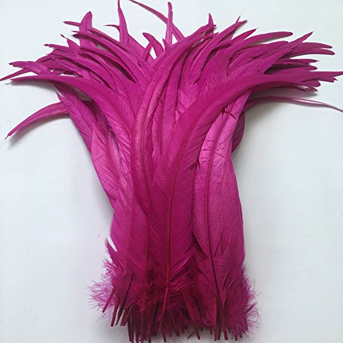 Sowder Hahn Coque Schwanz Federn 16-18inch(40–45cm) für DIY Basteln Hüte Kostüm, Urlaub Thema Party Dekoration,20 Stück Fuchsia von Sowder
