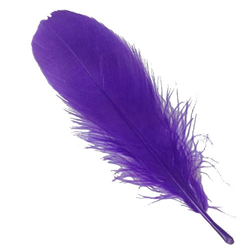 Sowder Natürliche Gänsefedern Bekleidungszubehör 100 Stück violett Sowder Natürliche Gänsefedern Bekleidungszubehör 100 Stück violett von Sowder