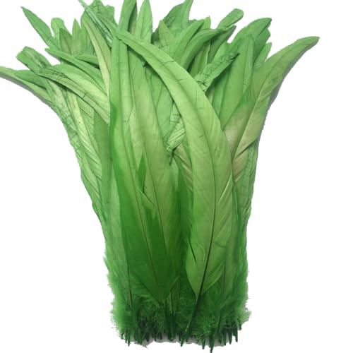 Sowder Schwanzfedern vom Hahn 11-14inch(27-35cm) Lengh Packung 50pcs(lindgrün) von Sowder