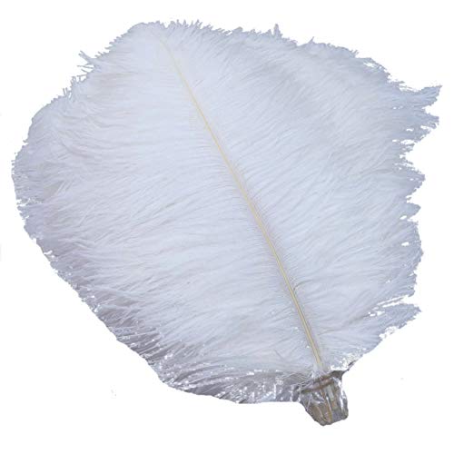 Sowder Straußenfedern, 20-25 cm, 50 Stück, natürliche Straußenfedern, für Zuhause, Hochzeit, Dekoration von Sowder