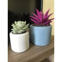 Mini Pflanzenvase, Minamalist Pflanzendekor, Sukkulenten, Kaktus, Pflanzen, Home Decor von SoyprintsLLC