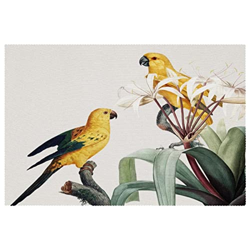 Platzsets mit tropischen Papageien und Blumen, 6 Stück, für Esstische, 30,5 x 45,7 cm, rutschfest, hitzebeständig, Küchentischset von SpONda