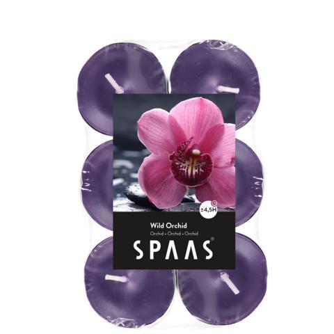 Teelichter Duft Wilde Orchidee 12 St?ck 4,5 H von Spaas