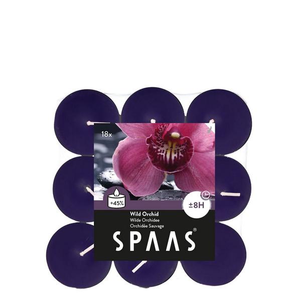 Teelichter Duft Wilde Orchidee 18 Stück 8 h Teelichter Duft Wilde Orchidee 18 Stück 8 h von Spaas