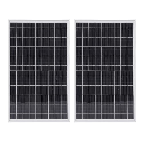 Spacnana 2 Pack 20W Solar Panel Kit, Monokristallines PV -Modul mit 100A Schneller Ladecontroller Zum Camping -Wandern Im Freien von Spacnana