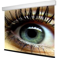 WS S NewMot Aufpro 16:10 290x181 cm, HomeVision BE/BL 1.0 Gain von Spalluto