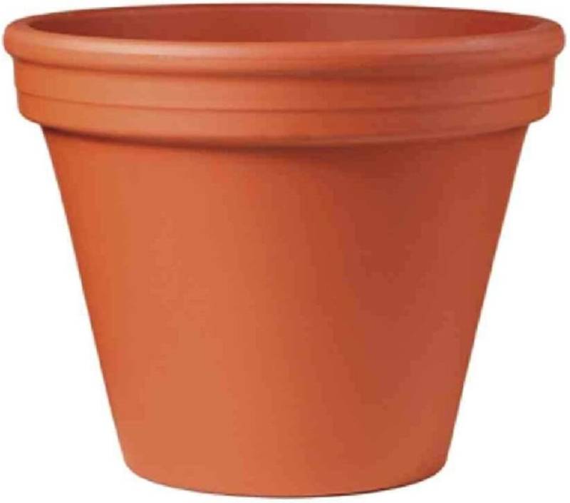 Spang Blumentopf Blumentopf aus Ton, Durchmesser 5 cm (1 St) von Spang